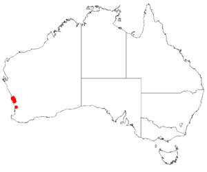 Hakea longifloraDistMap76.png