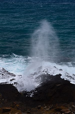 Halona Blowhole a0002860