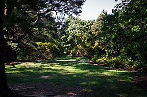 Harcourt Park - panoramio