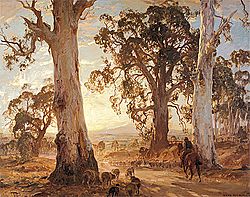 Heysen Droving