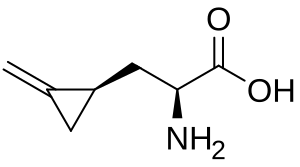 Hypoglycin A