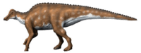 Hypracosaurus NT.png