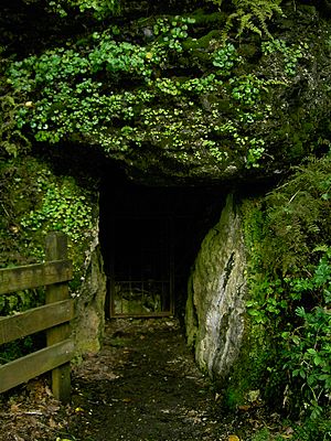 Ice-Cave Bixby-State-Preserve Clayton-County,-Iowa Sunday,-September-4,-2011