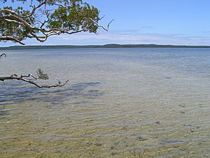 Lake Weyba (2099873732)