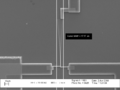 MEMS Microcantilever in Resonance