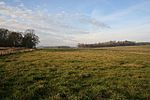 Medieval Fishponds - geograph.org.uk - 95307.jpg