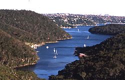 MiddleHarbour0001.jpg