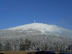 Mt. Spokane