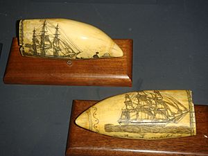 Nantucket Whaler Rose scrimshaw E.Burdett