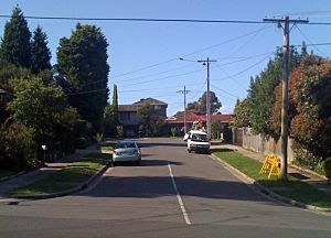 Neighbours Pinoak Court