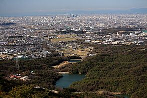 Nobi Plain from Mount Miroku