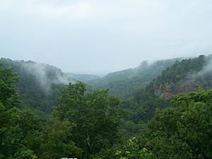 Petit Jean State Park view