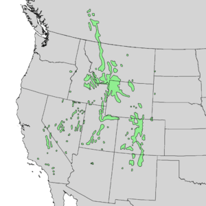 Pinus flexilis range map 1.png