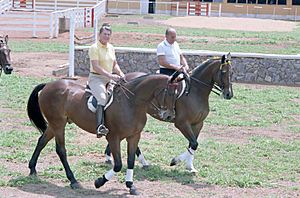 Ronald Reagan e João Figueiredo