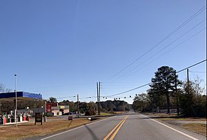 Sunset Village, Georgia.jpg