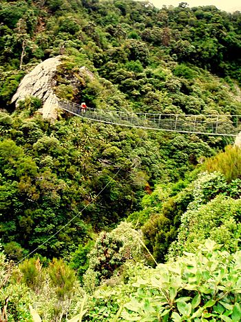 Suspension bridge over Harman River.jpg