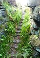 Tappoch broch stairs 093010