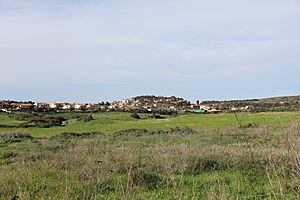 Tergu, panorama (02).jpg