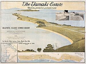 The Tamaki estate (Buckland's Landing)