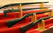 VN rifles