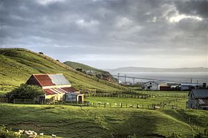 View from Chatham Islands