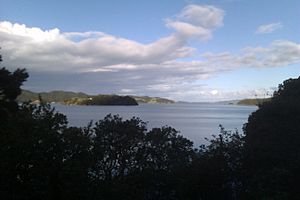 Whangaruru Harbour looking south.jpg