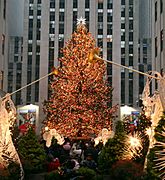 Xmastreenewyork06