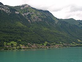 5489 - Niederried - Brienzersee.JPG