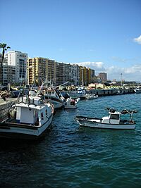 Algeciras Darsena