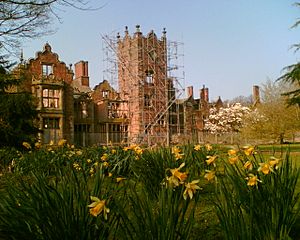 Bank Hall Daffodils