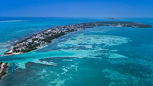 Belize Caye Caulker-221