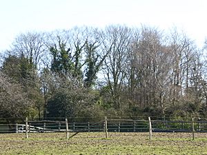 Blackhorse Quarry.jpg