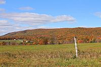 Buck Mountain from Buck Mountain Road.JPG