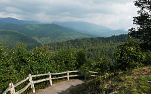 Cataloochee Valley-27527