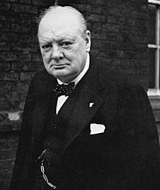 Churchill portrait NYP 45063