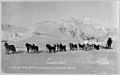 Col. Ramsay's entry, winning dog sled team of the 3rd All Alaska Sweepstakes, John Johnson, driver (LOC) (4484590704)