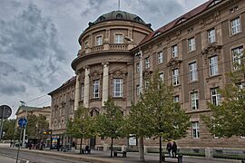 Collegium Maius w Poznaniu