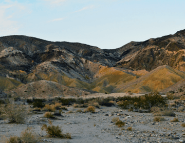 Coyote Mountains.png