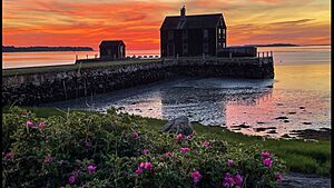 Delano's Wharf (Kingston Bay)