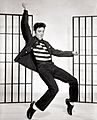 Elvis Presley Jailhouse Rock