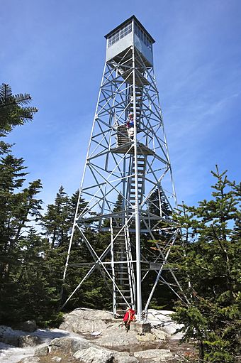 Fire Tower.jpg