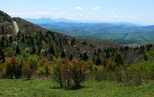 Grayson Highlands State Park-27527