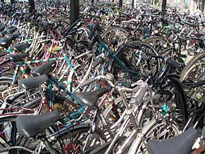 Group of bicycles