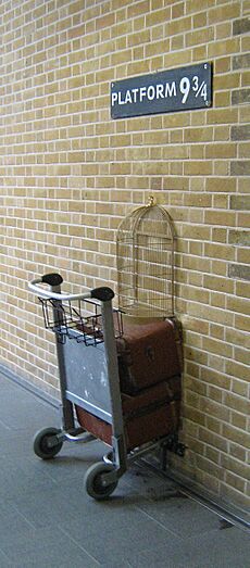 Harry Potter-platform