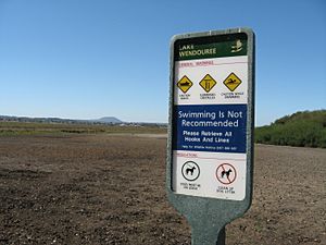 Lake Wendouree - No Swimming IMG 0696