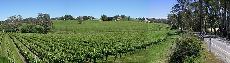 Lobethal Panorama