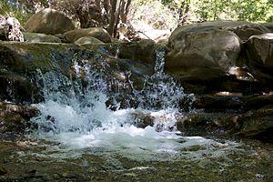 Matilija Falls CA