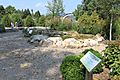 Matthaei Botanical Gardens Stony Stream