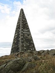 NeilsonsMonument