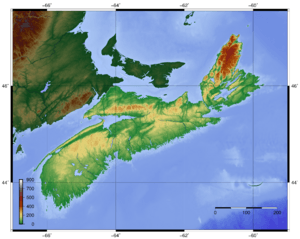 Novascotia topo